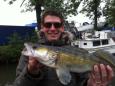 Maurits (Small)