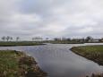 20140222 Wilnis Bosdijk 1 (Small)