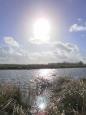P2220647 (Small)