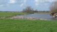 P1060946 (Small)