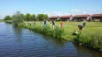 20140531 104135 (Small)