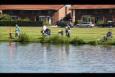 IMG 4313 (Small)