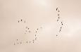 IMG 1166 (Small)