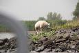 IMG 1173 (Small)