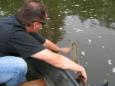 Linge06-09-2014 005 (Small)