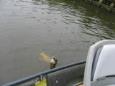 Linge06-09-2014 006 (Small)