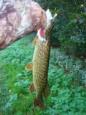20141101 (9) (Small)
