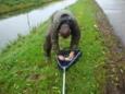 DSC03629 (Small)