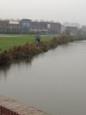 IMG 1274 (Small)
