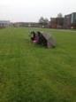 IMG 1277 (Small)