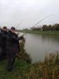 IMG 1564 (Small)