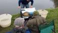 20141205 125012 (Small)