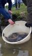 20141205 125456 (Small)