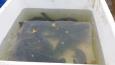 20141205 123109 (Small)