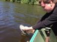 IMG 4470 (Small)