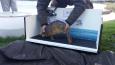 20151223 103620 (Small)