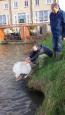 20151223 111705 (Small)