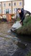 20151223 111728 (Small)