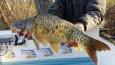 20151223 133846 (Small)