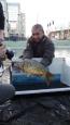 20151223 153546 (Small)