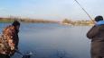 RVG - Dood aas Snoek - 4 (Small)