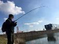 ExpIMG 4994 (Small)