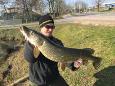 ExpIMG 4996 (Small)