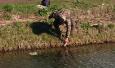 IMG 3121 (Small)
