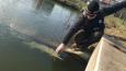 Vlcsnap-2016-03-06-23h38m52s672 (Small)