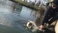 Vlcsnap-2016-03-06-23h43m56s433 (Small)