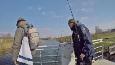 Vlcsnap-2016-03-07-00h17m38s066 (Small)