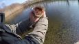 Vlcsnap-2016-03-07-00h34m02s893 (Small)