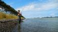 Finten.Snapshot (Small)