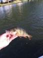 IMG 3347 (Small)