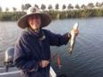 IMG 3356 (Small)