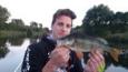 IMG 3357 (Small)