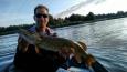 IMG 20160924 101356641 (Small)