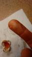 IMG 20160924 210245832 (Small)