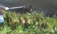 IMAG0318 (Small)