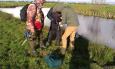 IMAG0351 (Small)