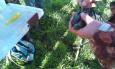 IMAG0358 (Small)