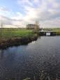 IMG 3435 (Small)