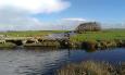 IMG 3553 (Small)