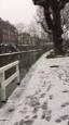 IMG 9111 (Small)