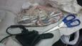 IMG 9201 (Small)