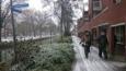IMG 9204 (Small)
