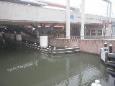 P1071258 (Small)