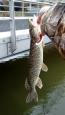 IMG 20170225 140128887 (Small)