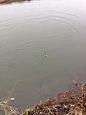 IMG 3489 (Small)