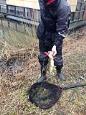 IMG 3503 (Small)